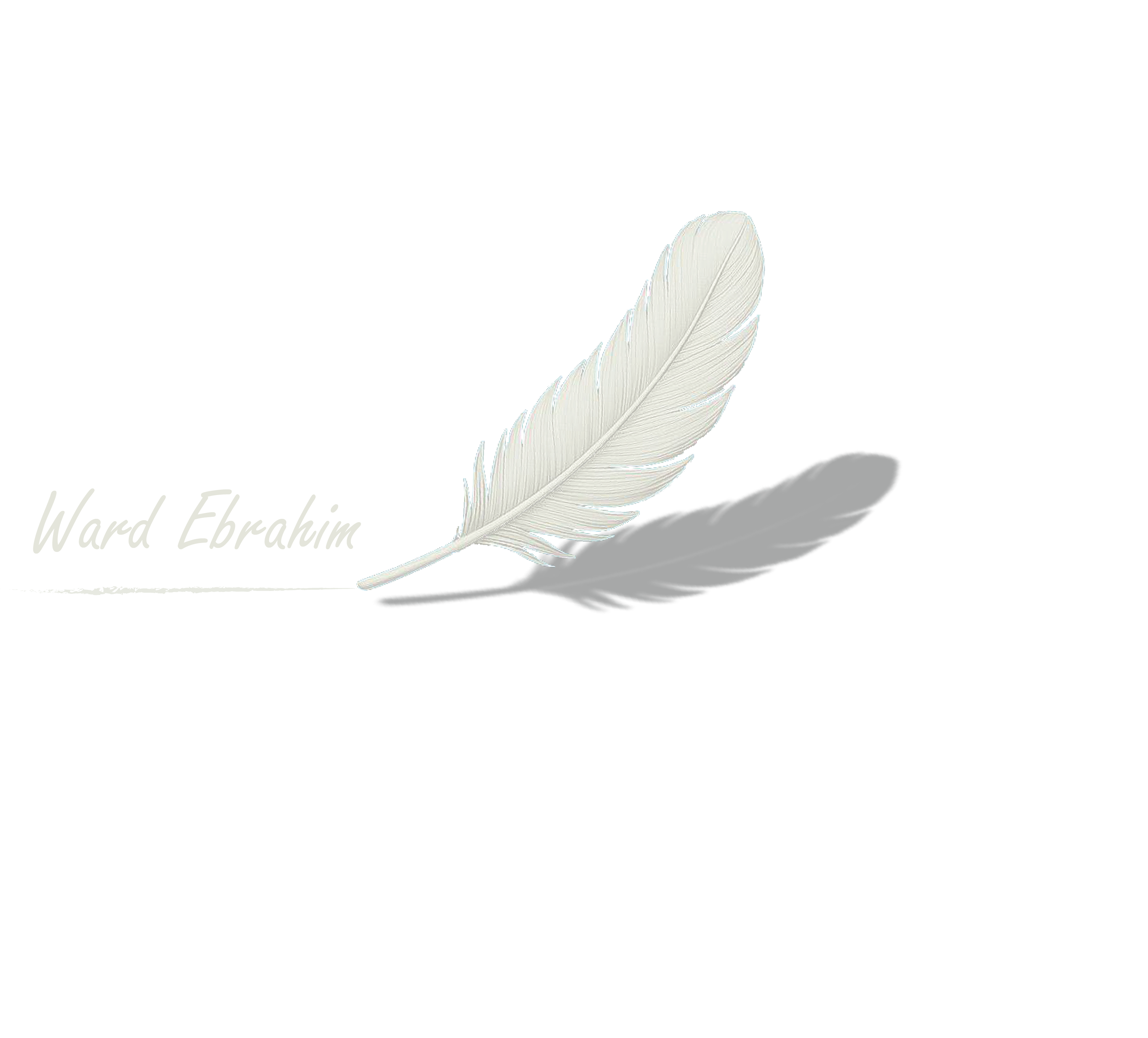 Ward Ibrahim - Graphic Designer